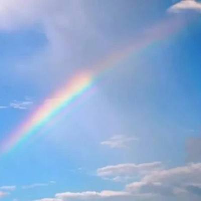 天博tb·体育综合